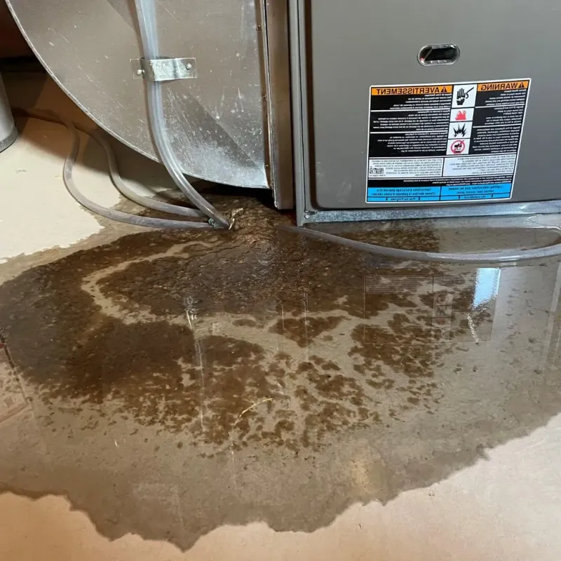Pipe Burst and Leak Restoration in Yonkers, NY